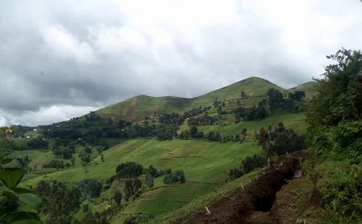 Nord-Kivu : Soutenus par le Rwanda, les M23 attaquent des positions FARDC à Rutshuru