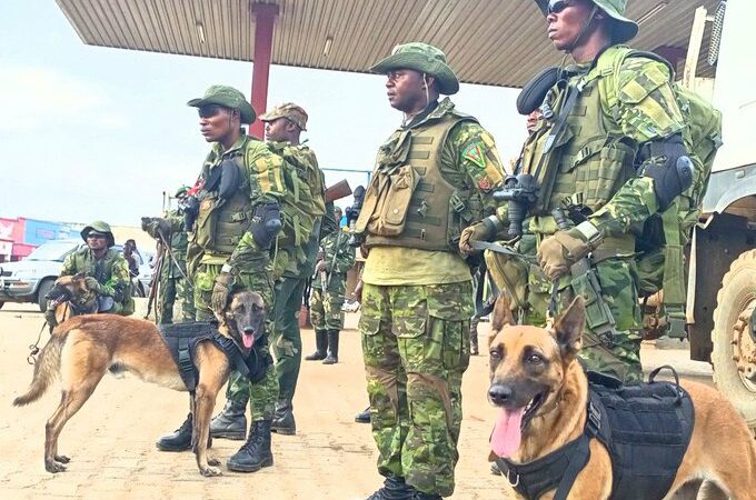 Guerres ADF : Formés à Kisangani, les militaires du bataillon canine déjà en action à Beni