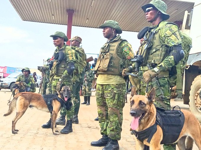 Guerres ADF : Formés à Kisangani, les militaires du bataillon canine déjà en action à Beni