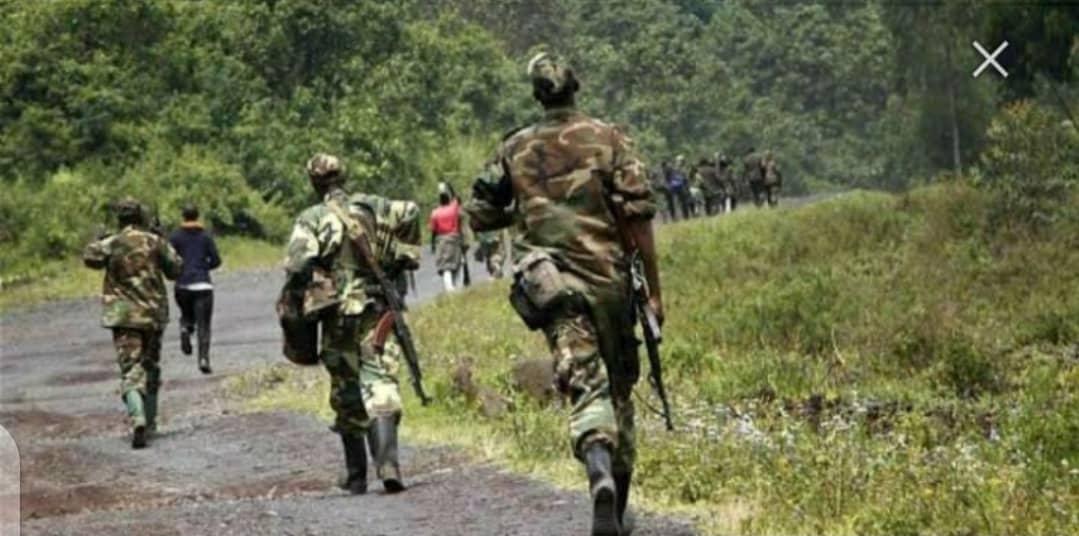 Reprise des offensives à Rutshuru : Forte débandade du M23, les FARDC campent à Bunagana