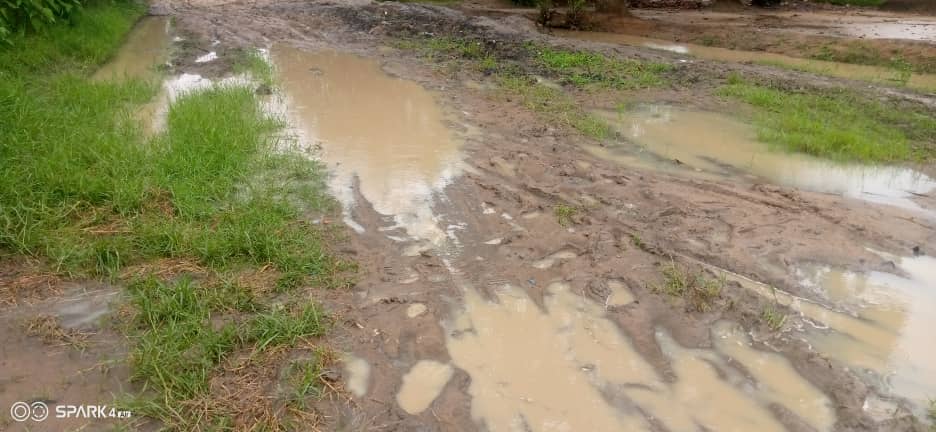 Tshopo: Les avenues et routes de désertes agricoles délabreés suite aux pluies diluviennes(Reportage)