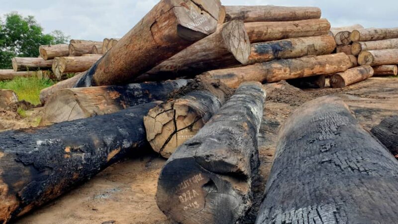 Kisangani : Des inciviques prennent d’assaut la société CFT, des grumes du parc à bois en feu (Dossier)